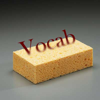 Vocab-Sponge
