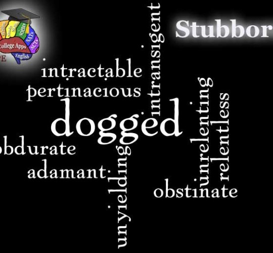 Word of the day, “pertinacious” synonym for stubborn. Meaning to